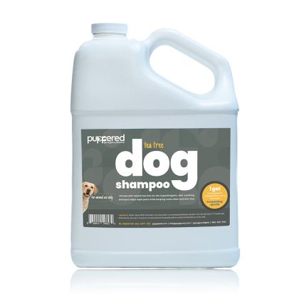 Tea Tree Shampoo