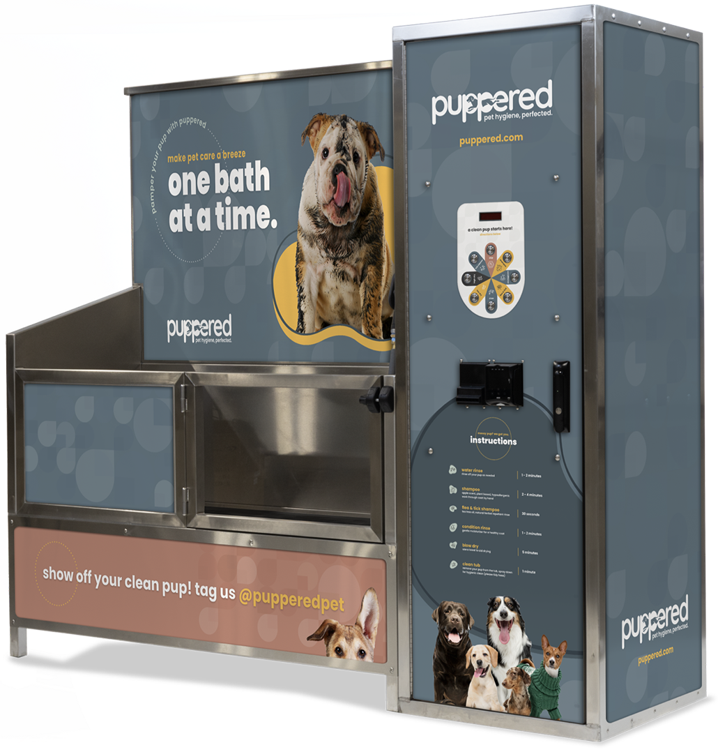 Dog Wash