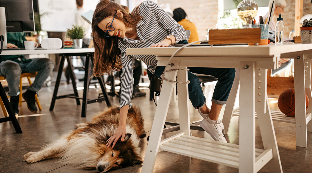 how to start a self-serve dog wash business