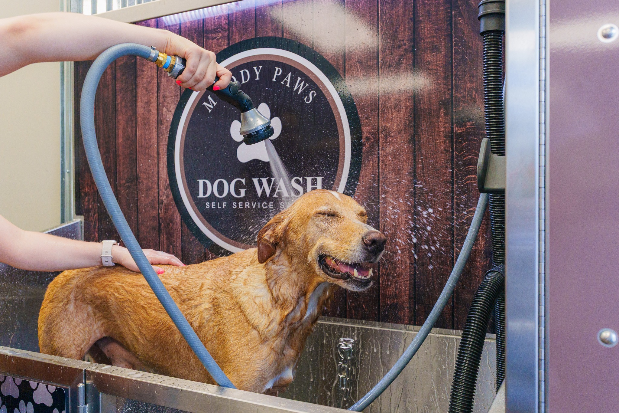from empty space to first-of-its-kind: muddy paws opens with puppered dog wash
